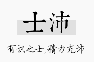 士沛名字的寓意及含义