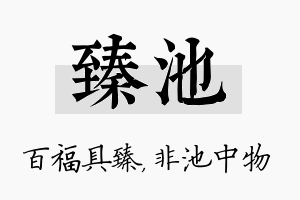 臻池名字的寓意及含义