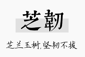 芝韧名字的寓意及含义