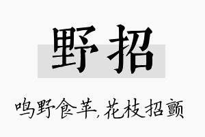 野招名字的寓意及含义