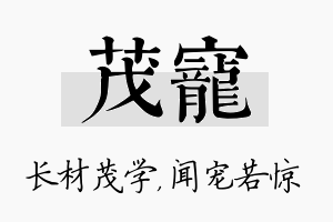 茂宠名字的寓意及含义