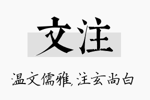 文注名字的寓意及含义