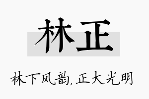 林正名字的寓意及含义