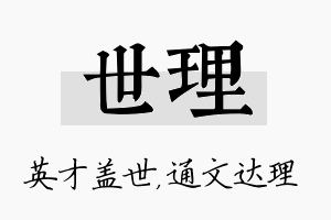 世理名字的寓意及含义