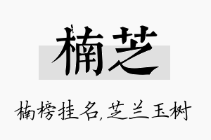 楠芝名字的寓意及含义