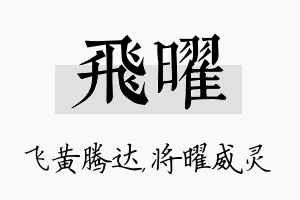 飞曜名字的寓意及含义