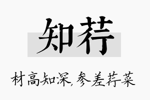 知荇名字的寓意及含义