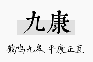 九康名字的寓意及含义