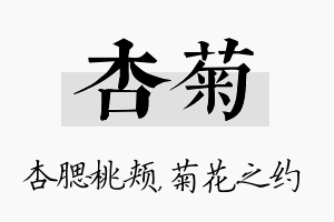 杏菊名字的寓意及含义