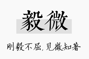 毅微名字的寓意及含义