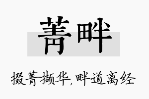 菁畔名字的寓意及含义