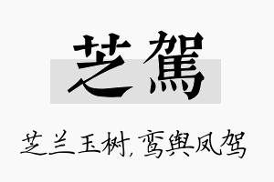 芝驾名字的寓意及含义