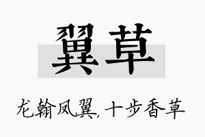 翼草名字的寓意及含义