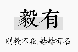 毅有名字的寓意及含义