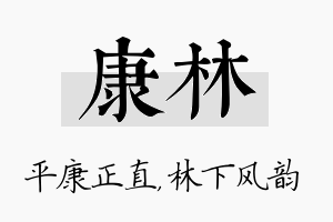 康林名字的寓意及含义