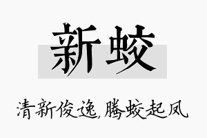 新蛟名字的寓意及含义