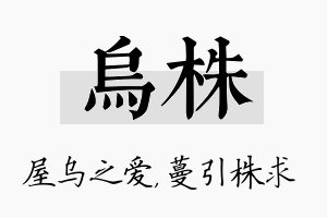 乌株名字的寓意及含义