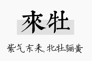 来牡名字的寓意及含义