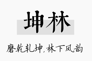 坤林名字的寓意及含义