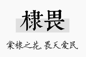 棣畏名字的寓意及含义