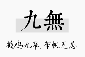 九无名字的寓意及含义