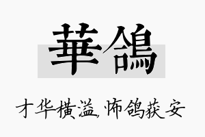 华鸽名字的寓意及含义