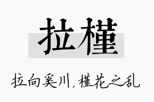 拉槿名字的寓意及含义