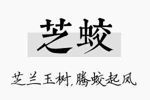 芝蛟名字的寓意及含义