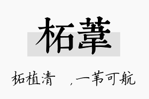 柘苇名字的寓意及含义