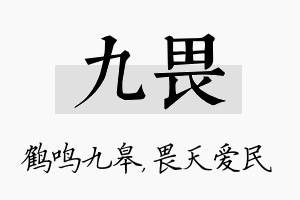 九畏名字的寓意及含义