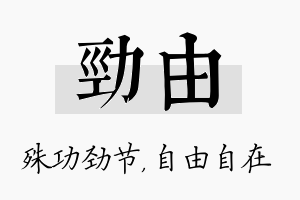 劲由名字的寓意及含义