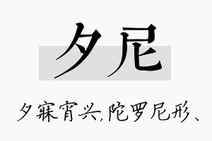 夕尼名字的寓意及含义