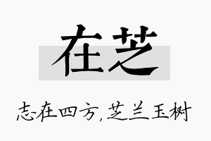 在芝名字的寓意及含义