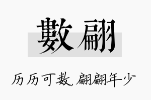 数翩名字的寓意及含义