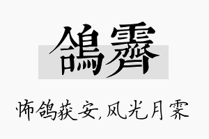 鸽霁名字的寓意及含义