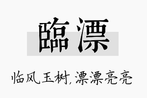 临漂名字的寓意及含义