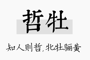 哲牡名字的寓意及含义