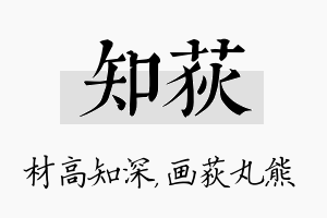 知荻名字的寓意及含义