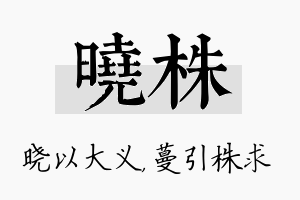 晓株名字的寓意及含义