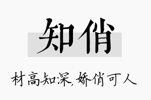 知俏名字的寓意及含义