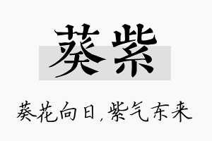 葵紫名字的寓意及含义