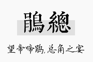 鹃总名字的寓意及含义