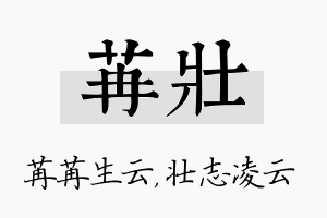 苒壮名字的寓意及含义