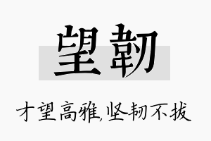 望韧名字的寓意及含义