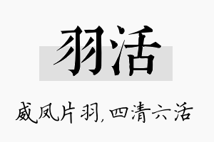 羽活名字的寓意及含义