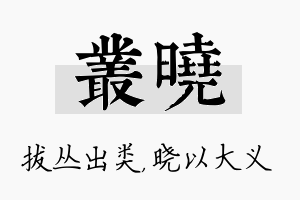 丛晓名字的寓意及含义