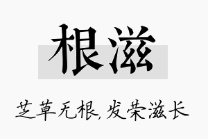 根滋名字的寓意及含义