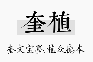 奎植名字的寓意及含义