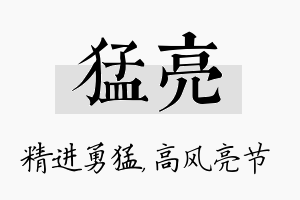 猛亮名字的寓意及含义