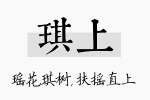 琪上名字的寓意及含义